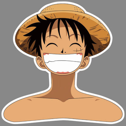 Luffy/Zoro figure coat hanger